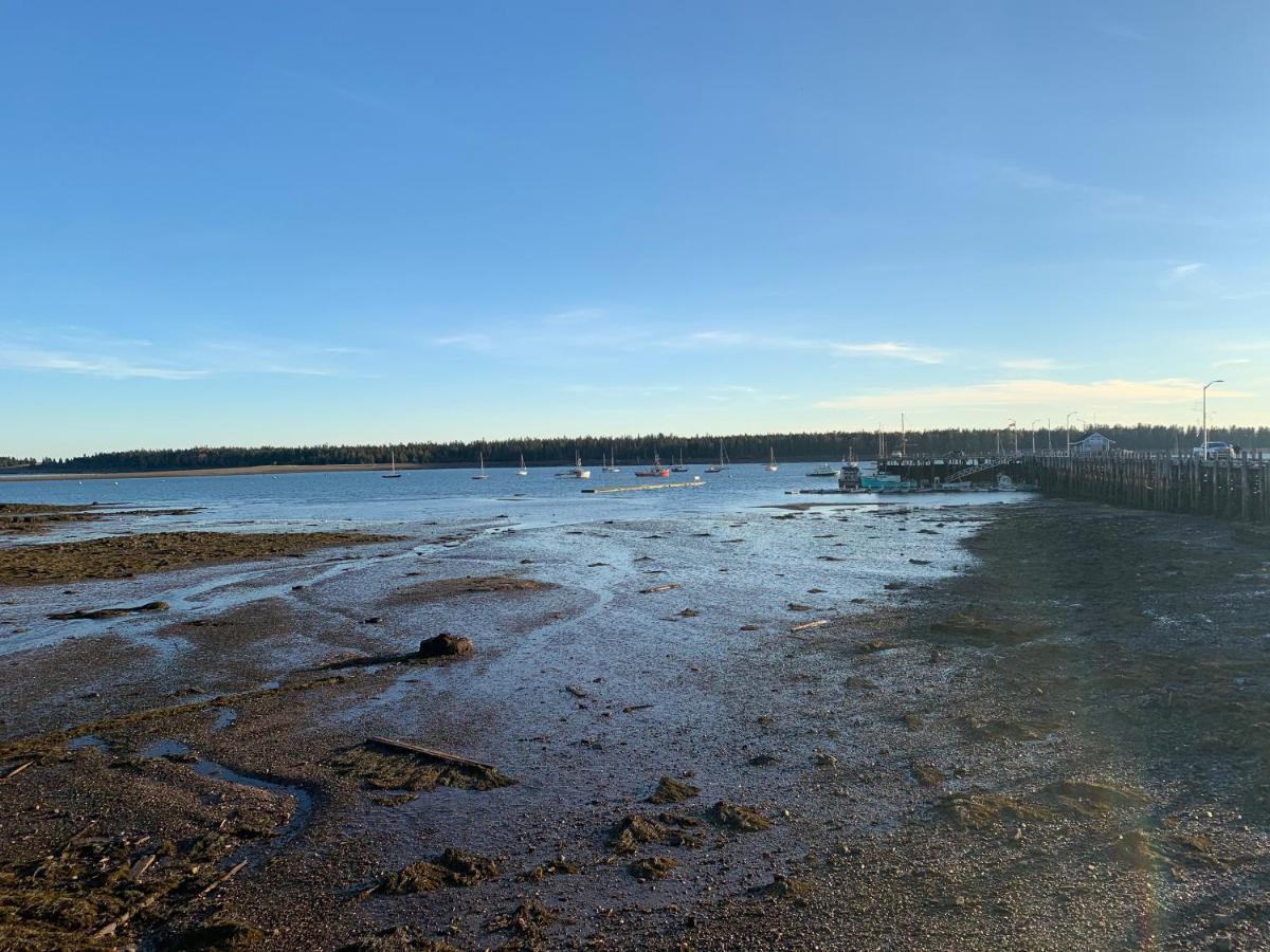 Kennedy House Hotell St. Andrews By The Sea Exteriör bild